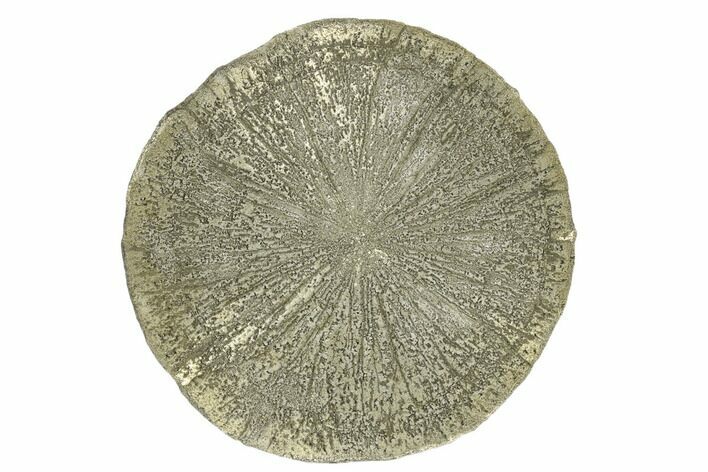 Pyrite Sun - Sparta, Illinois #180651